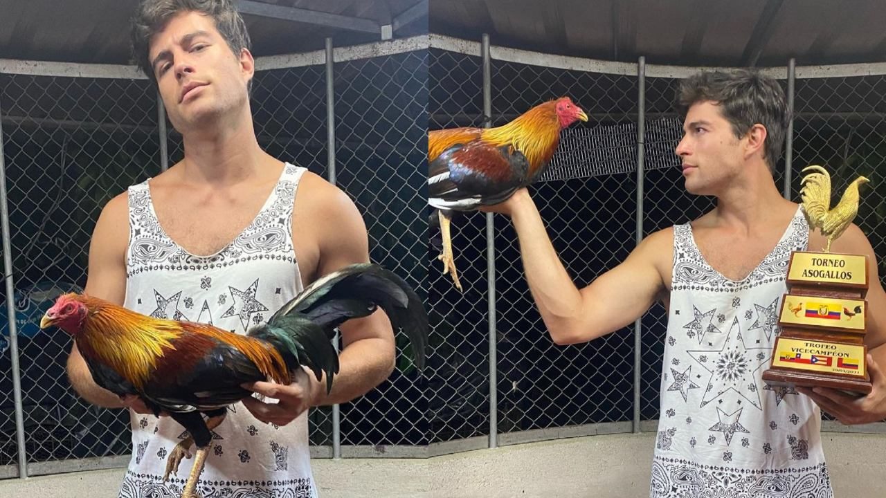 Danilo Carrera recibe críticas tras presumir su afición por las peleas de gallos