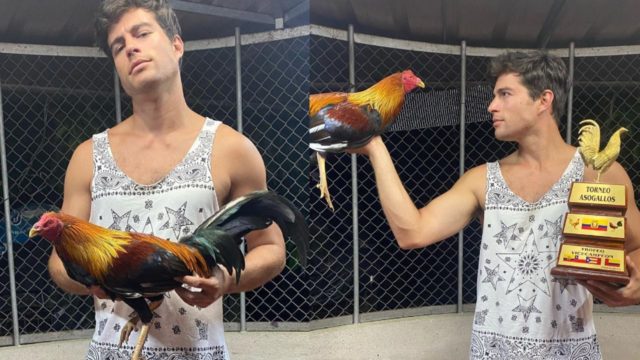 Danilo Carrera recibe críticas tras presumir su afición por las peleas de gallos
