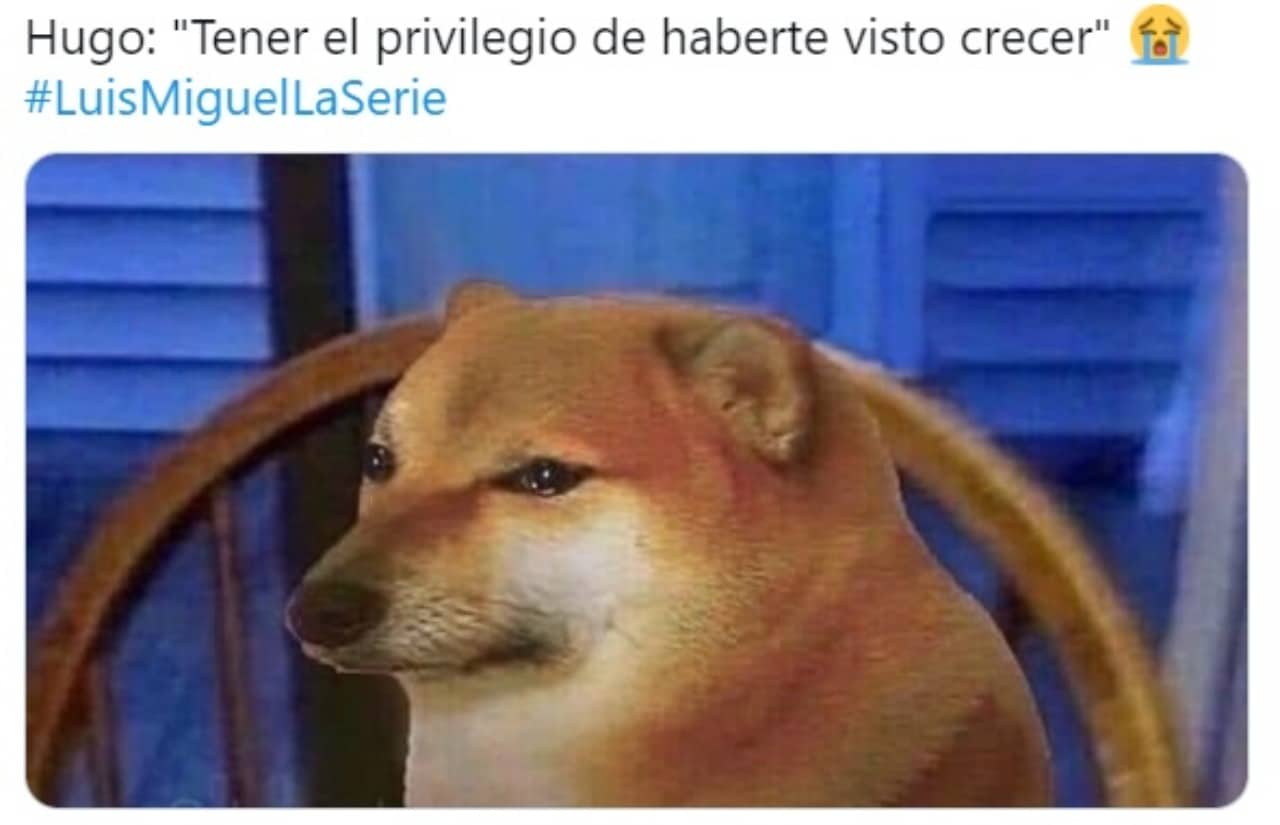 Meme perrito llorando muerte Hugo