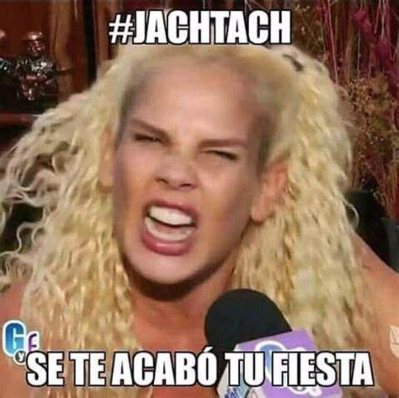Niurka meme hashtash se te acabo fiesta
