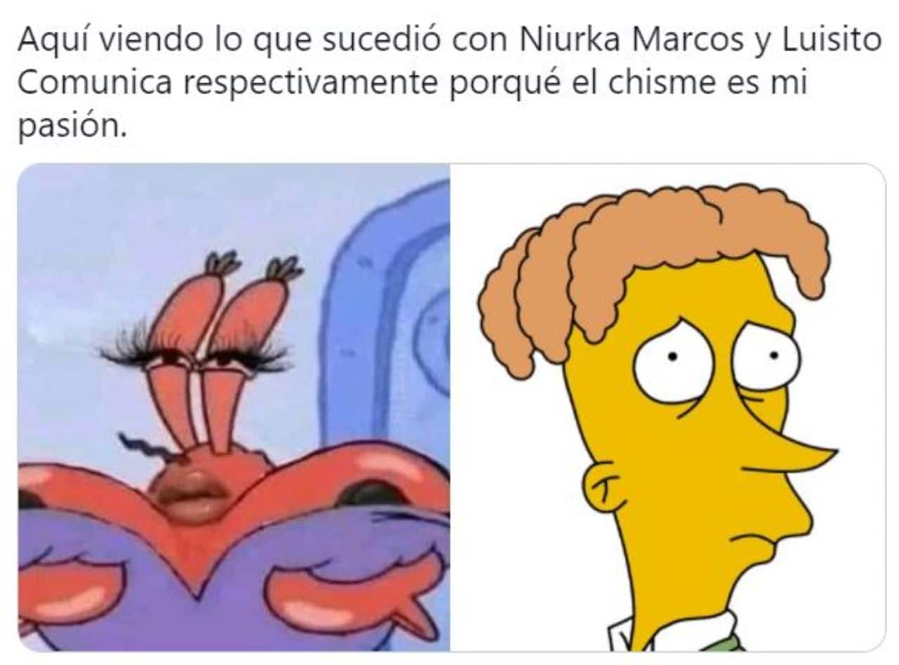 Memes Niurka blusa en vivo