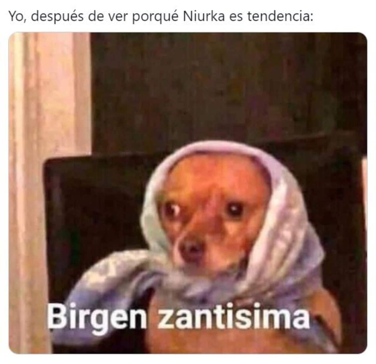 Niurka y sus memes porque se quitó la blusa