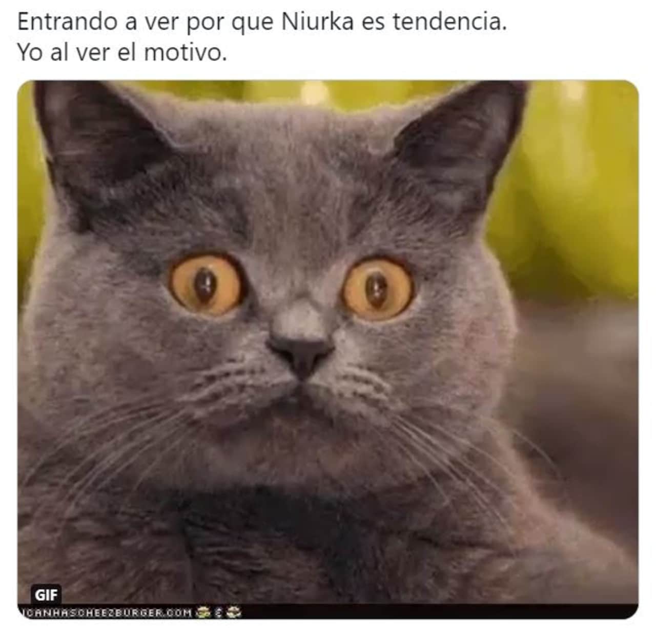 Memes de Niurka y su blusa