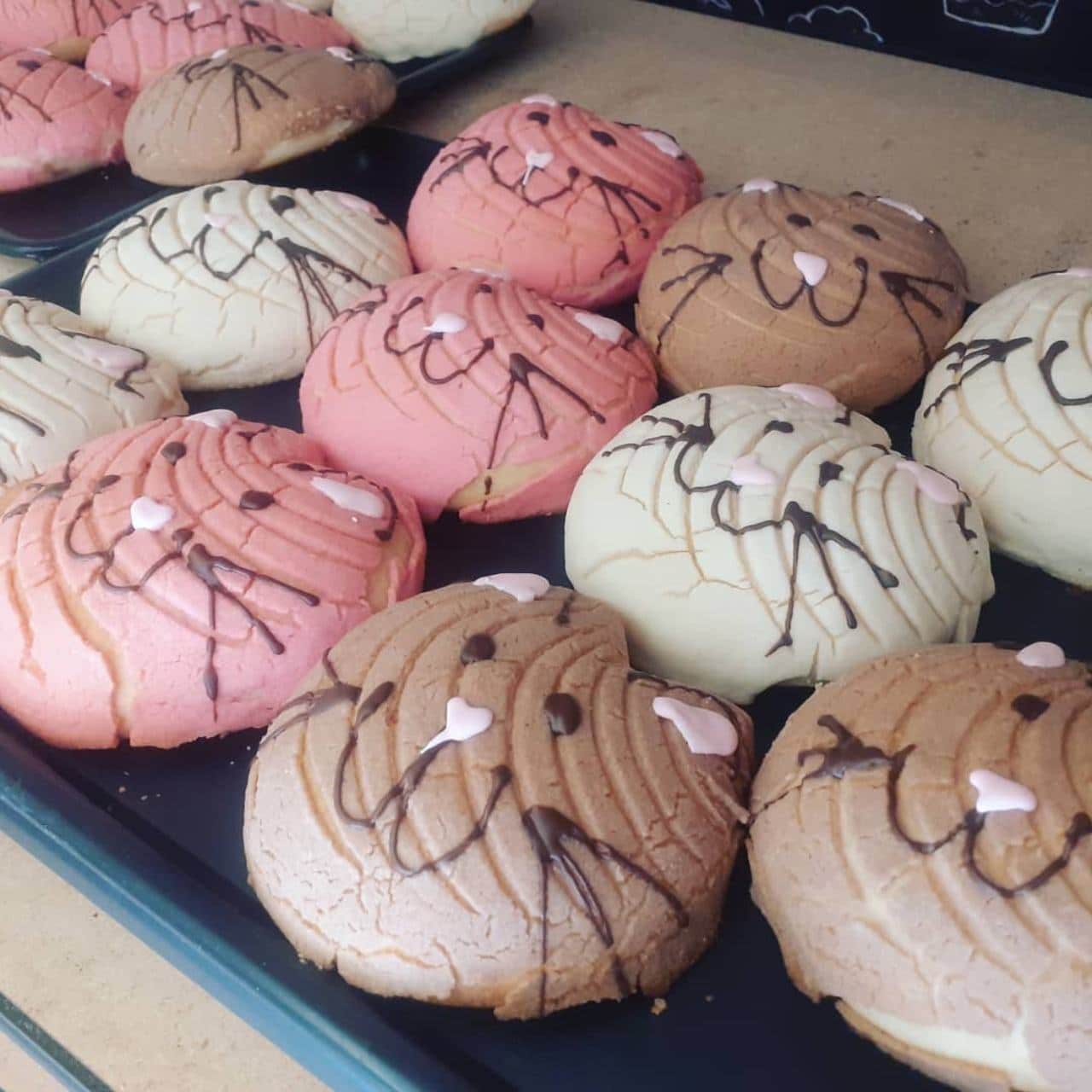 Michi conchas CDMX fresa vainilla chocolate