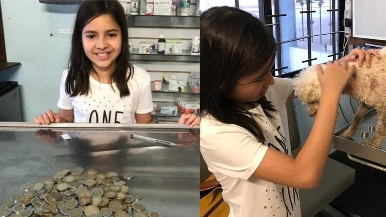 NIña dona sus ahorros para adoptar perra