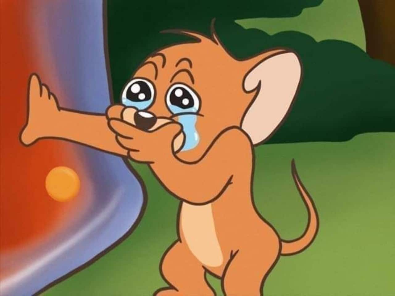 Niño regalo cocinita jugar chef