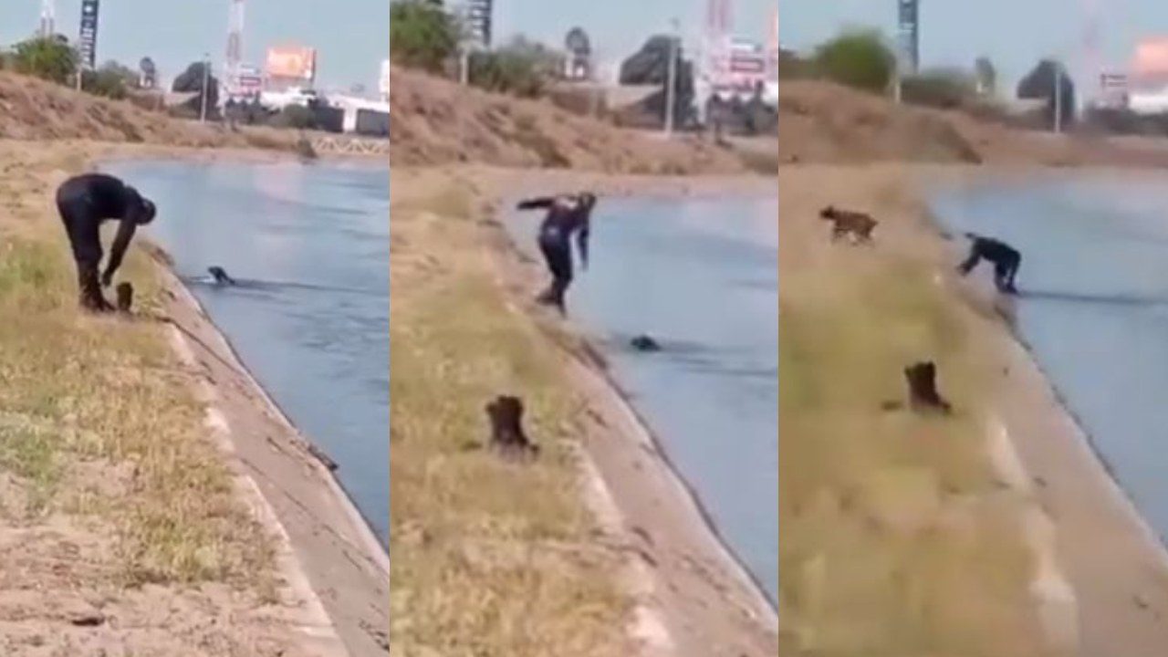 Policía de Culiacán salva a un perro de ahogarse en el canal