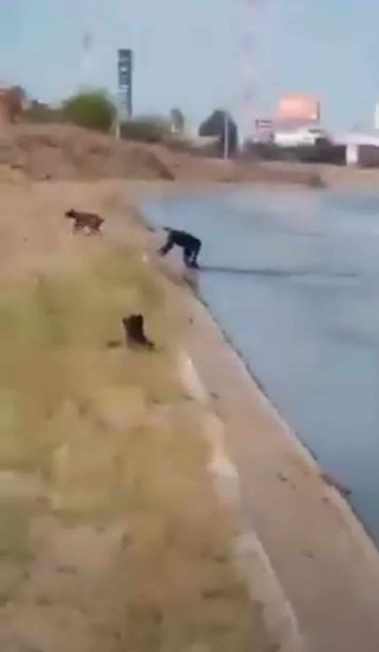 Policía Culiacán salva perro ahogarse canal