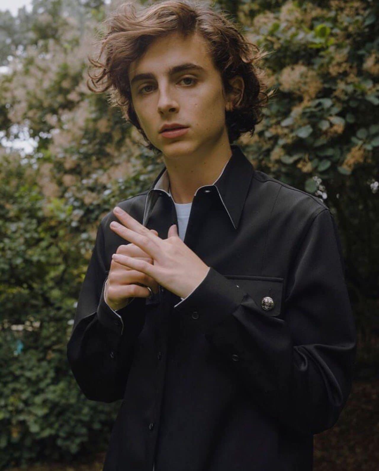 Timothee Chalamet Willy Wonka nuevo