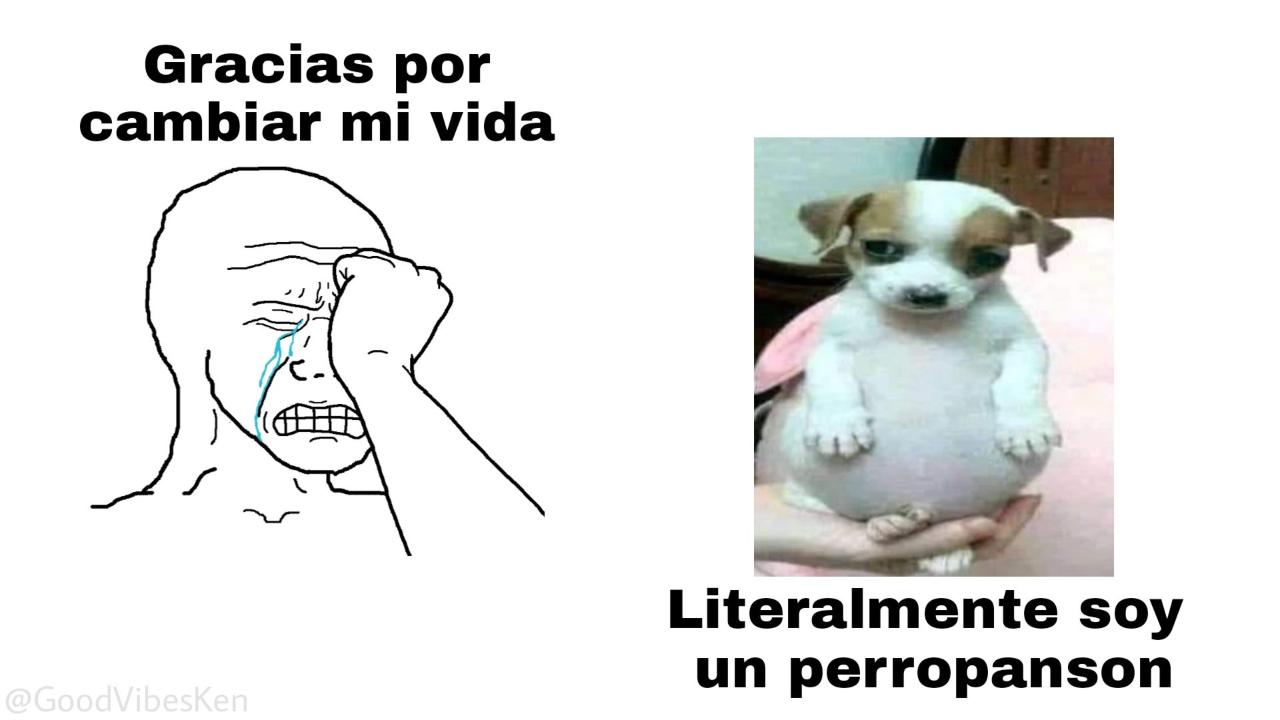 Perro panson de donde salio