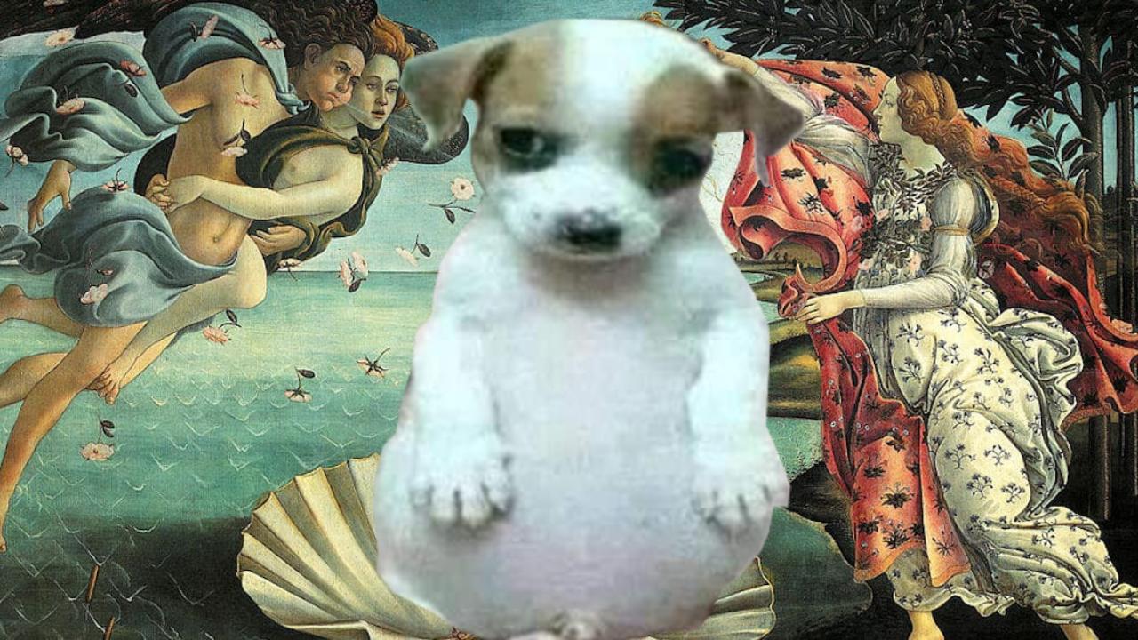 Perro panson de donde salio