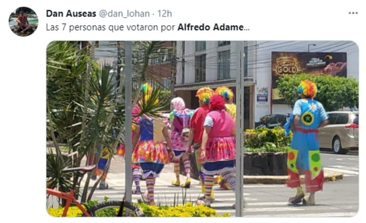 meme lo que votaron alfredo adame
