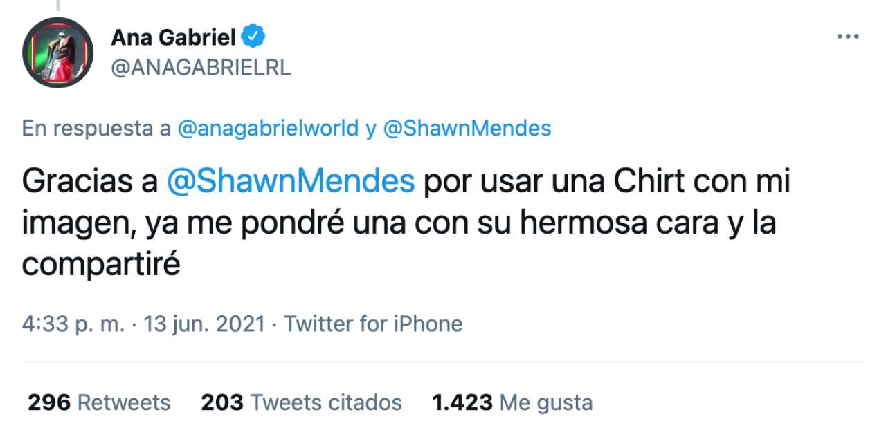 Ana Gabriel usará playera de Shawn Mendes