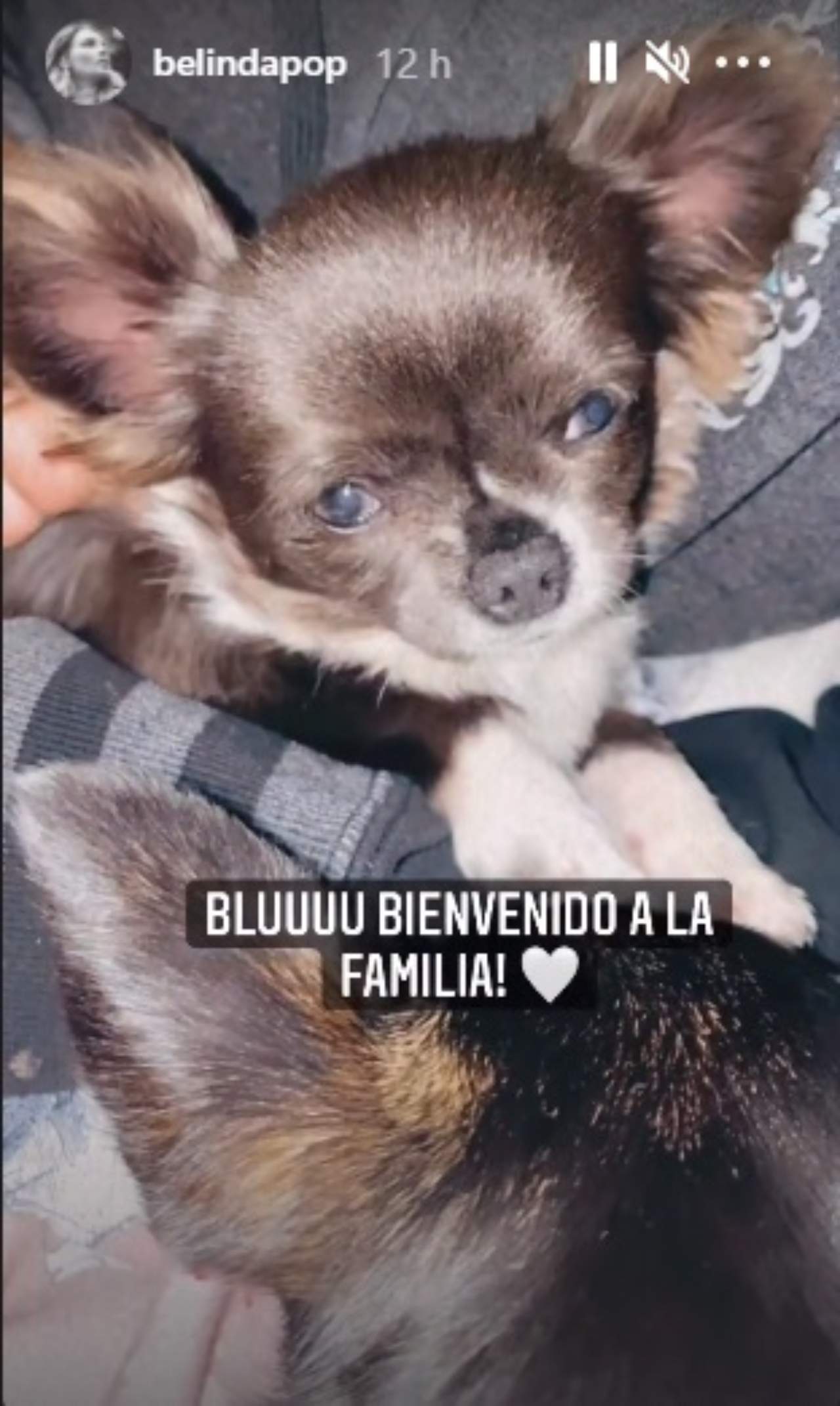 Belinda presenta nuevo bebe Nodal