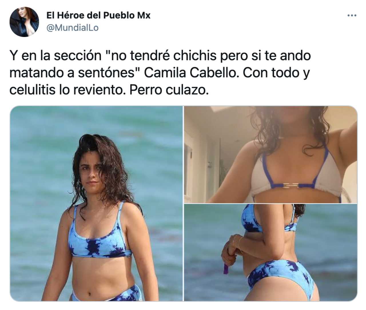 Las críticas a Camila Cabello por su foto en bikini