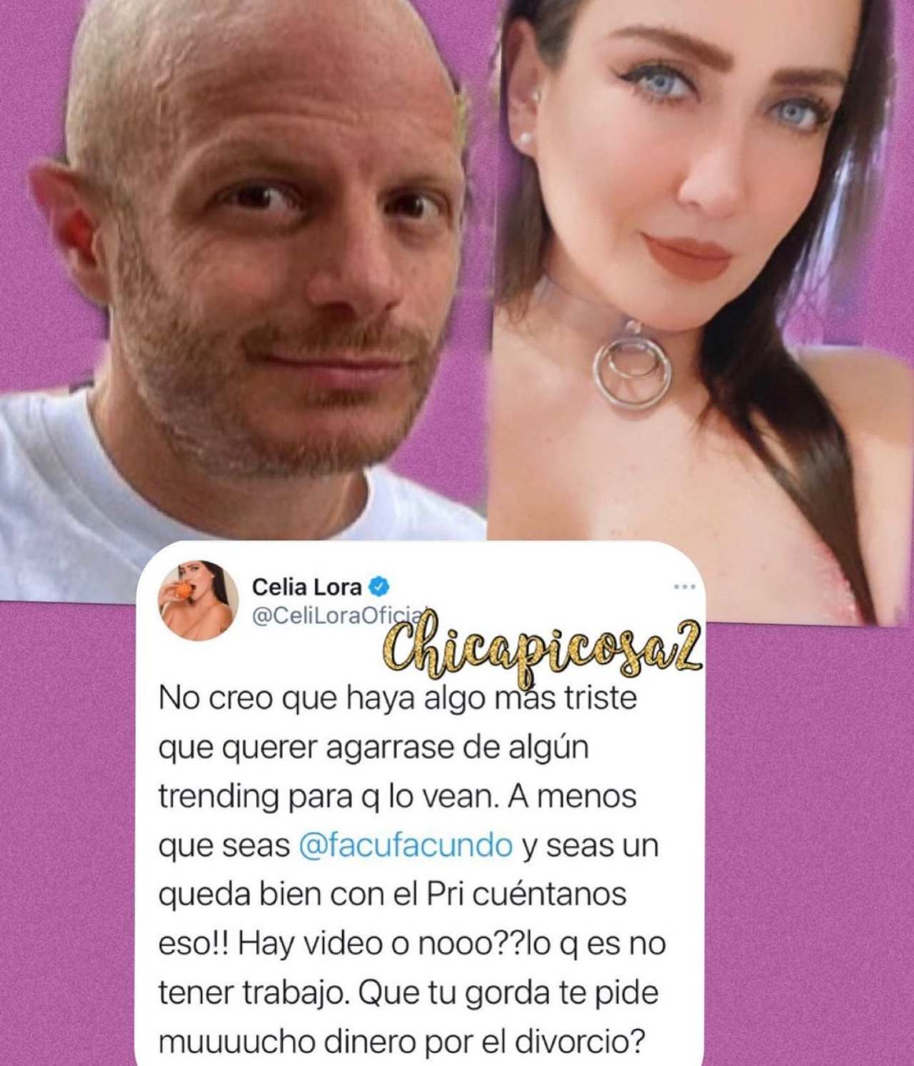 Tweet Celia Lora criticando a Facundo