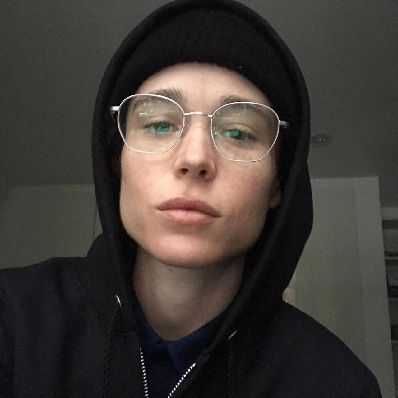 Elliot Page Famosos de la comunidad trans