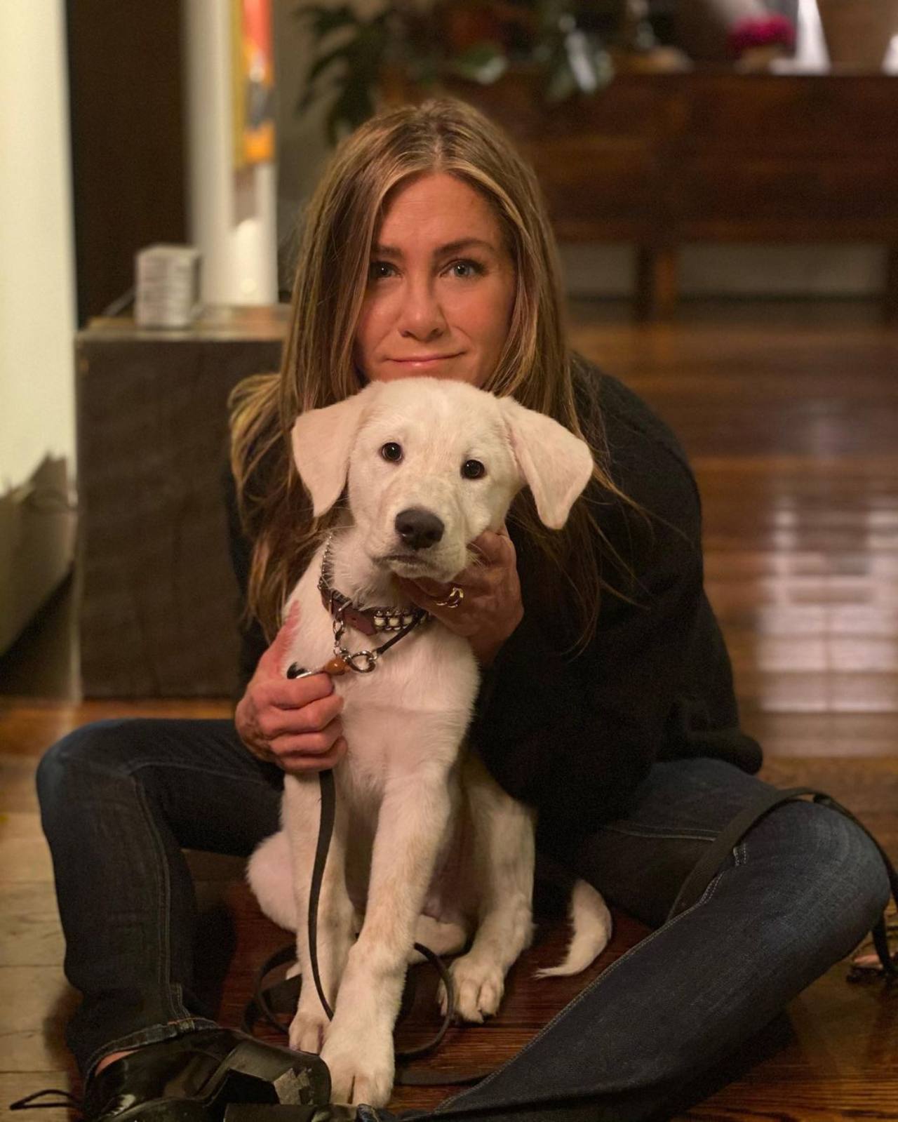 Jennifer Aniston habla de Brad Pitt relacion