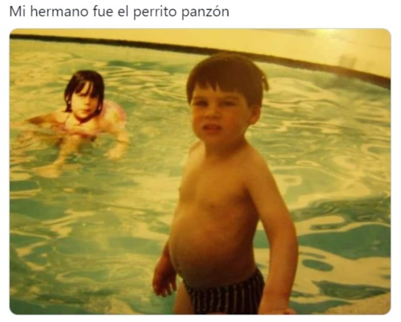 meme del perrito panson niño