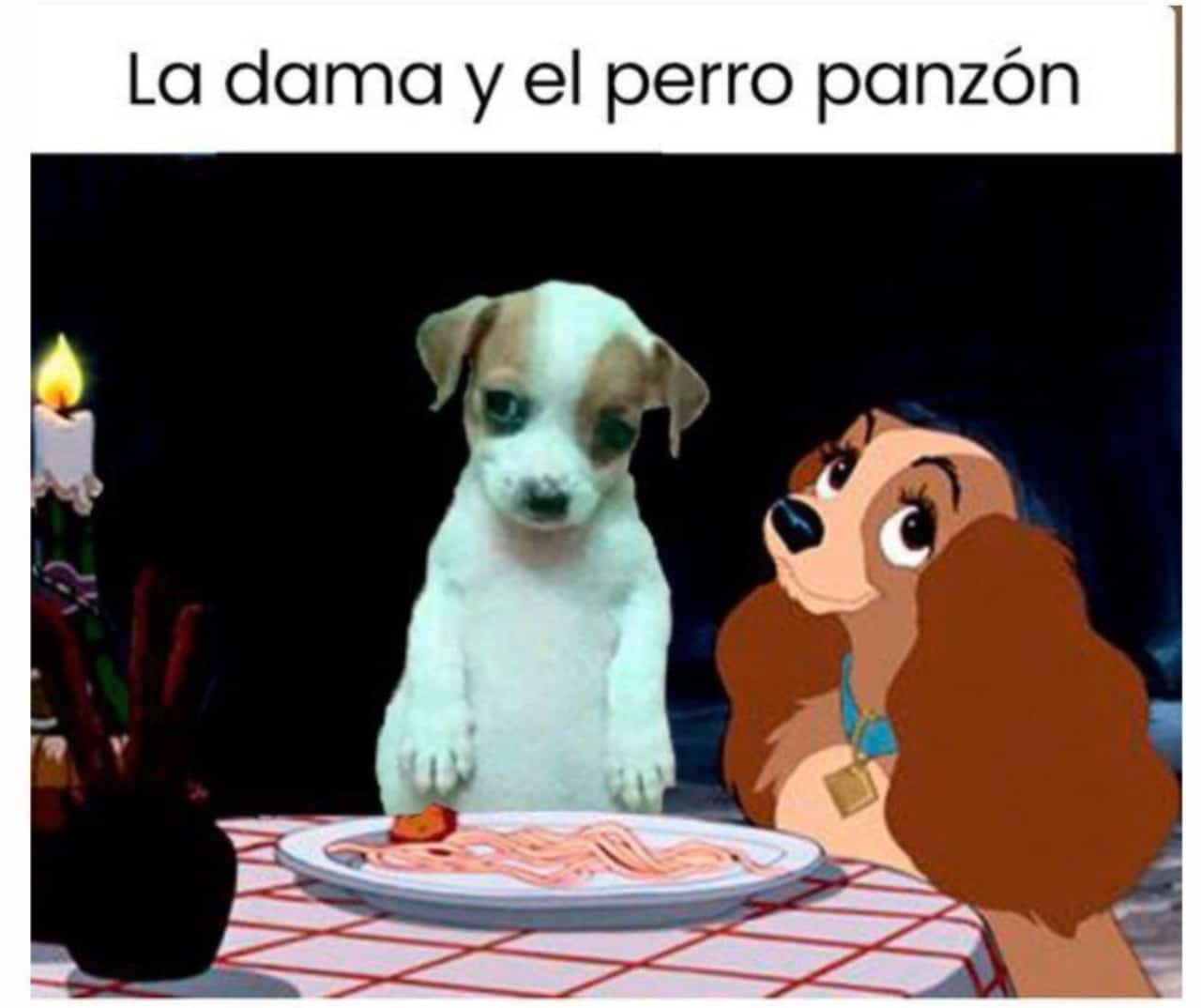 Meme la dama y el perro panson