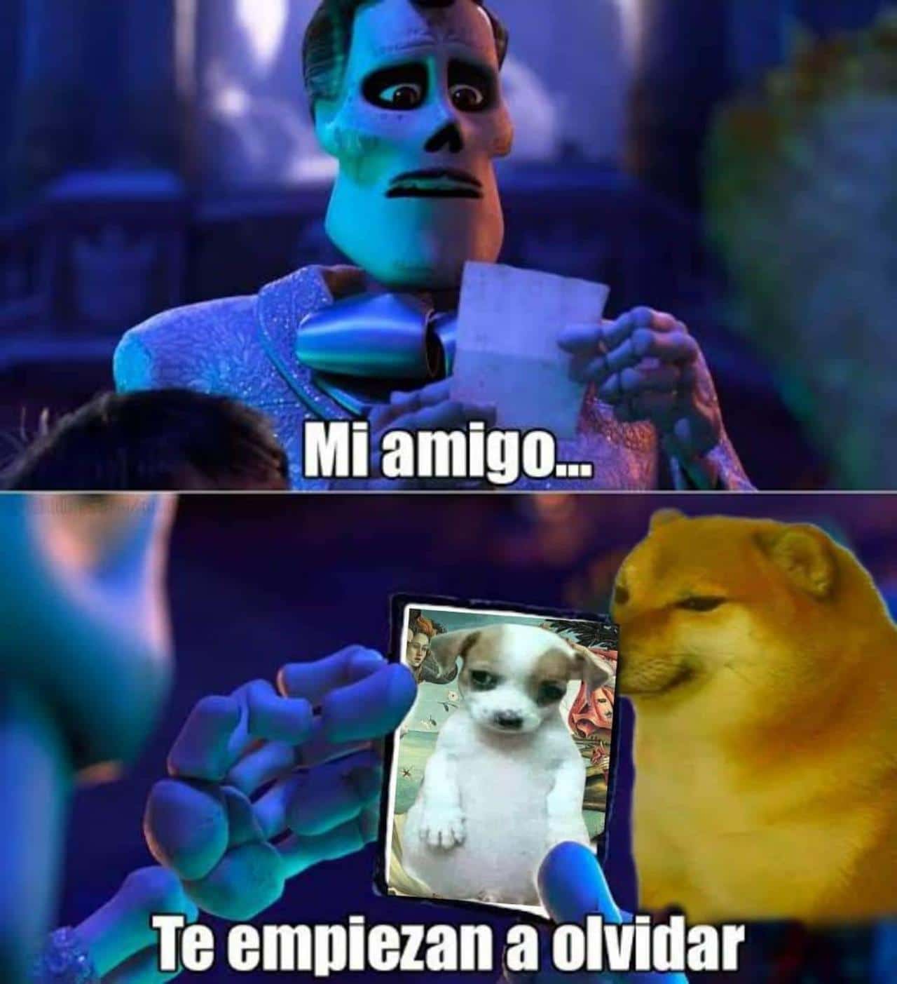 meme mi amigo perrito panson