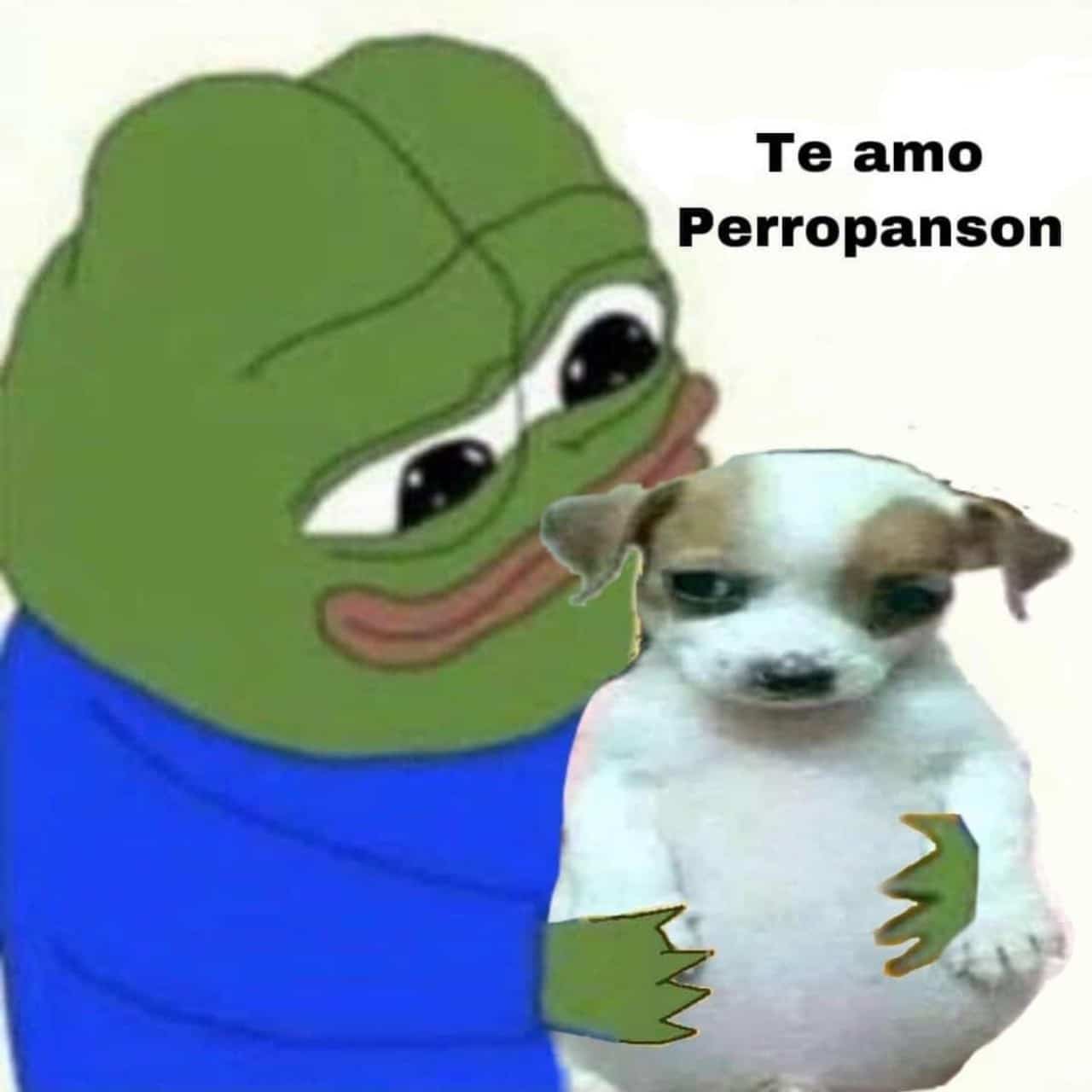 meme te amo perrito panson