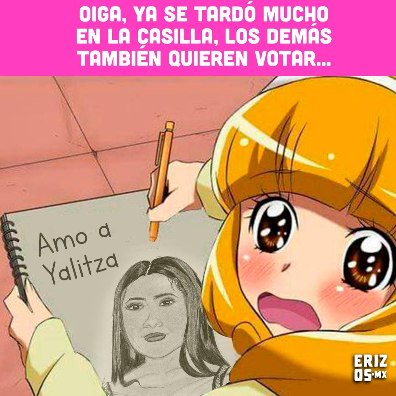 Todos los Memes elecciones