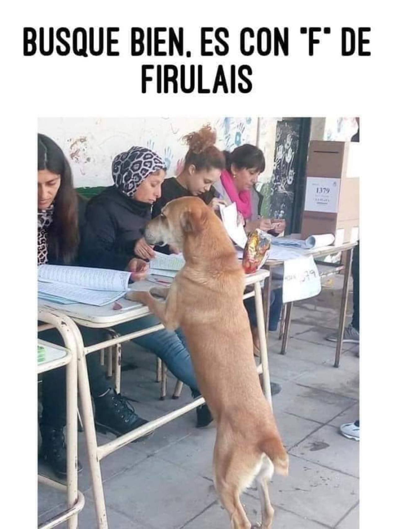 elecciones 2021 México memes