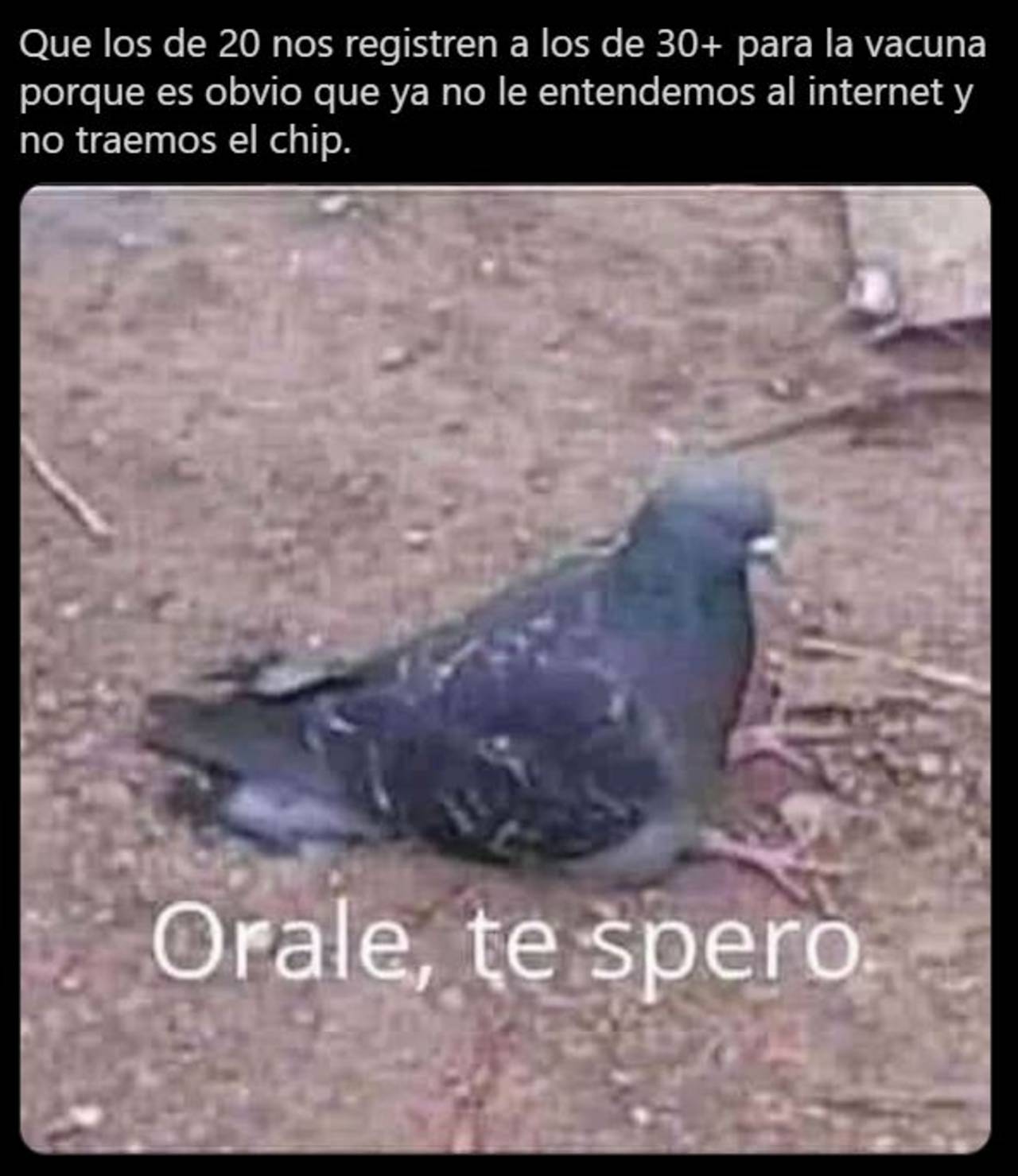 memes registro vacuna covid de los de 30 a 39 años