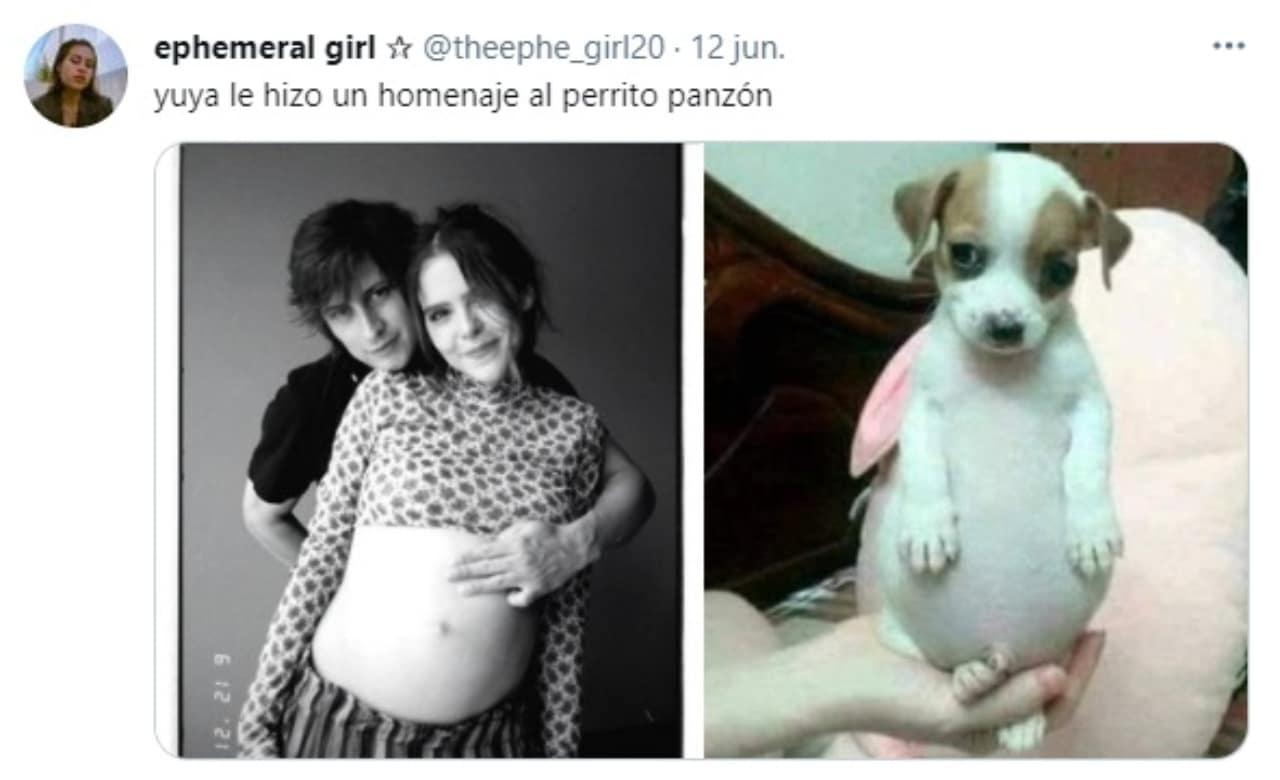 meme perrito panson yuya panzona