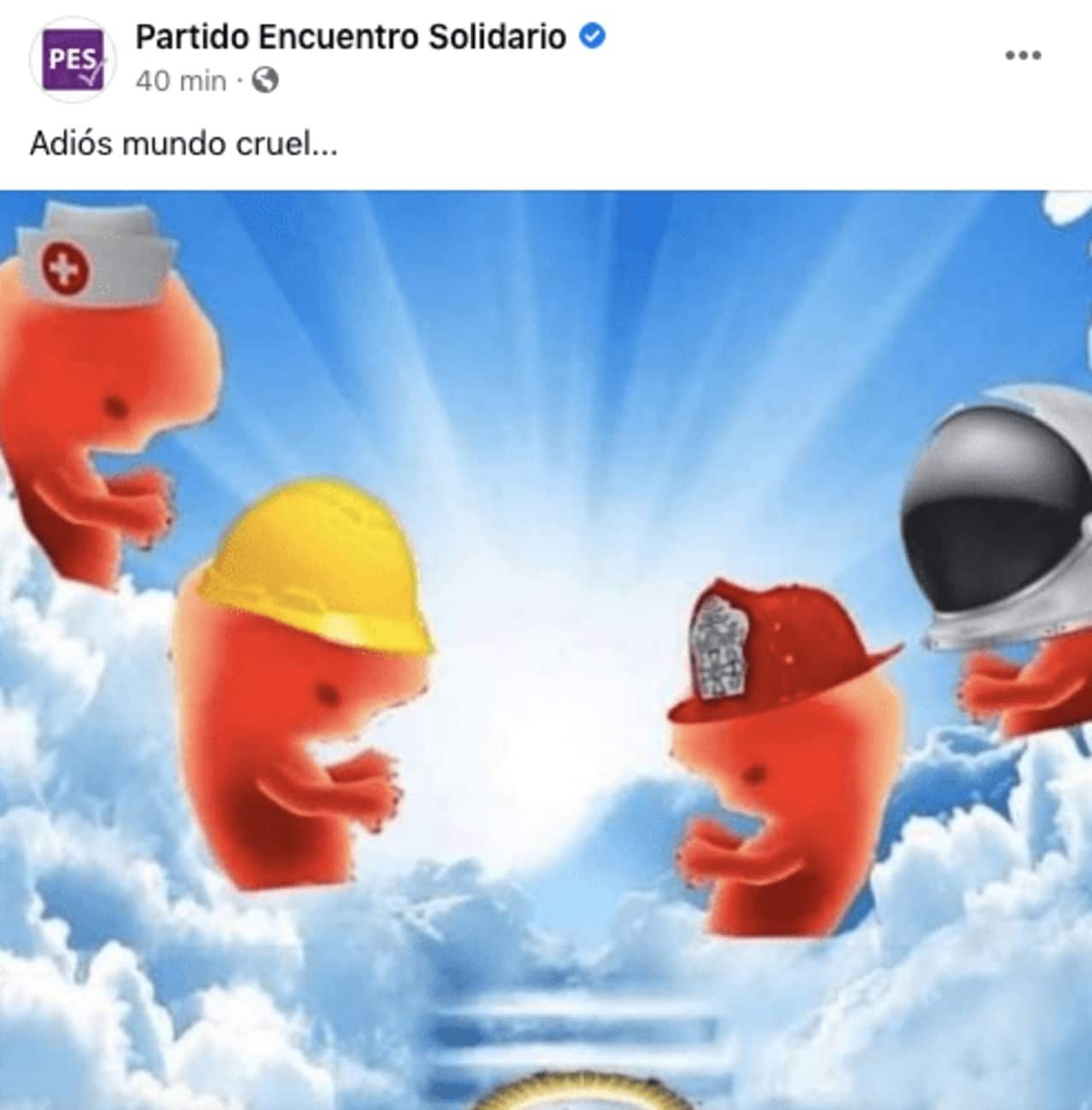 Partido Encuentro Solidario