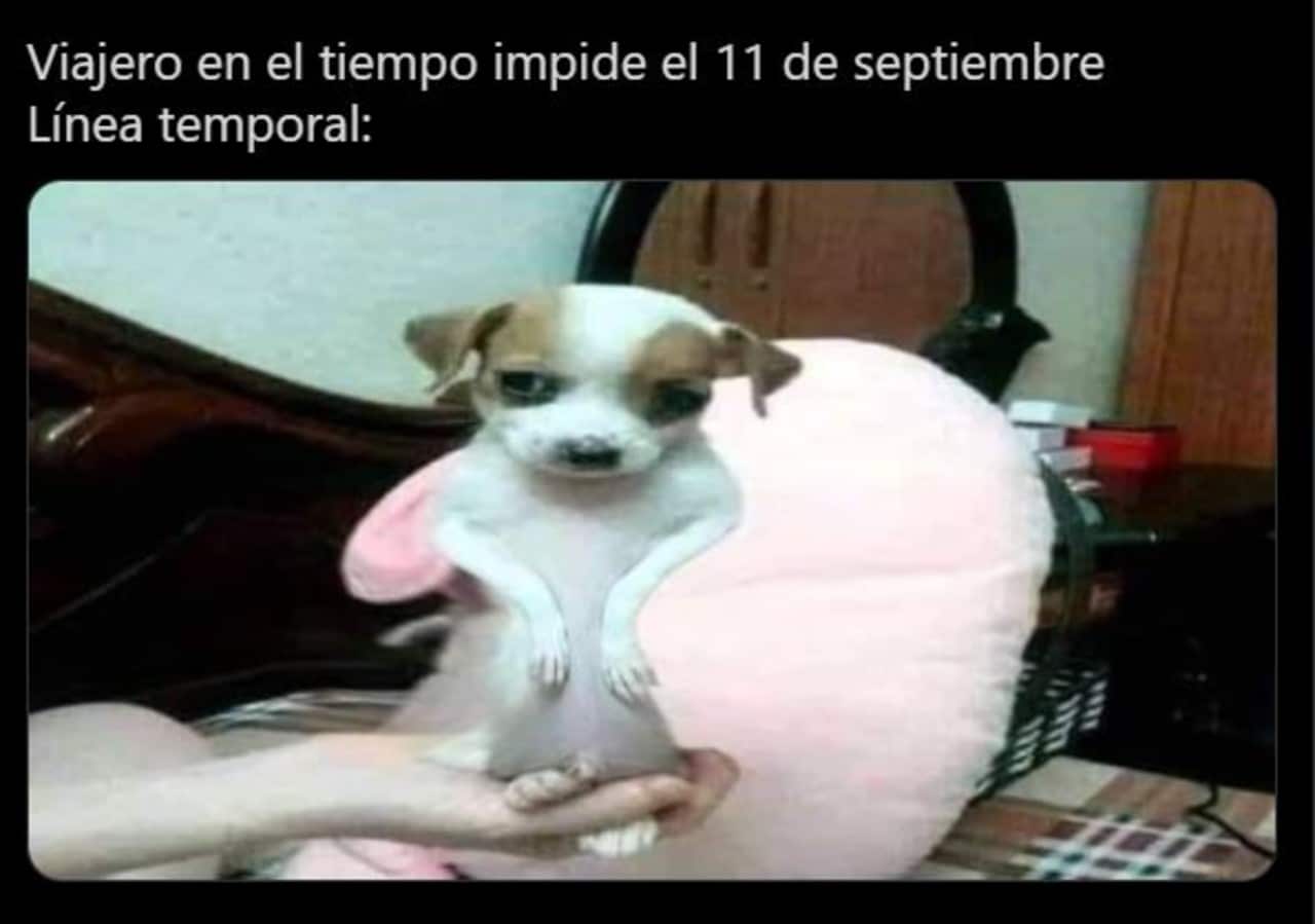 memes del viajero en el tiempo perrito panson todo chikito