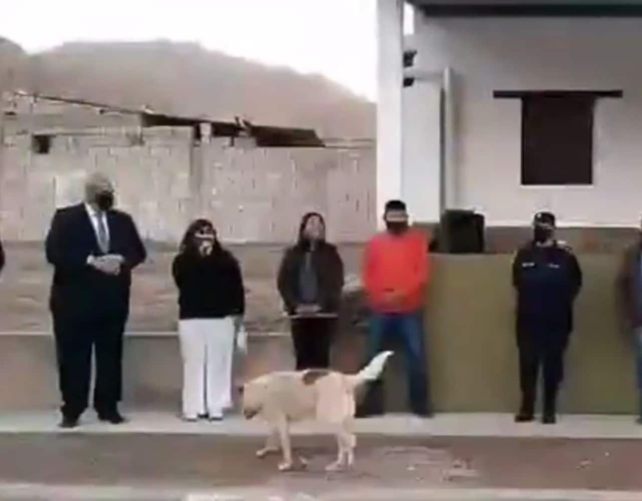 Video del perro que orina a presidenta municipal