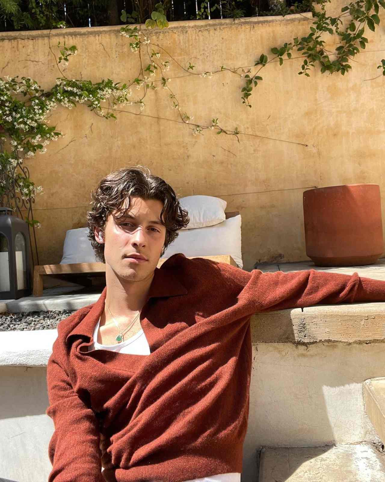 Shawn Mendes acusado de violencia