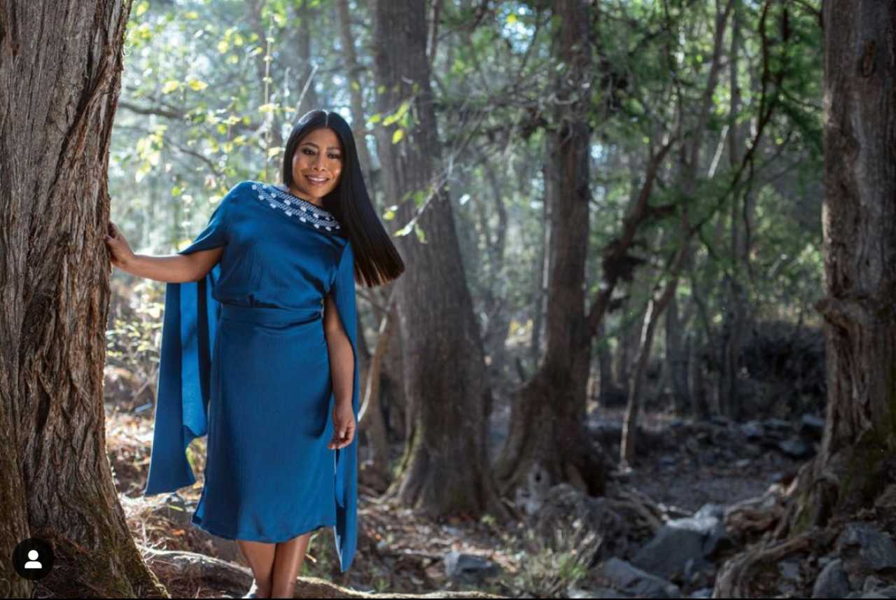 Yalitza Aparicio con vestido de seda