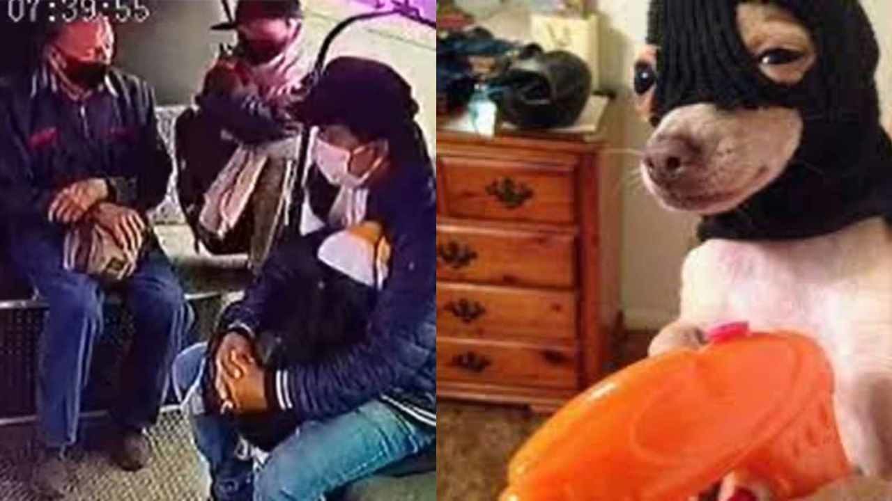 Ladrón intenta asaltar combi, pero nadie lo pela y se va llorando