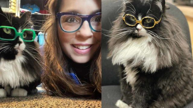 Gatita ayuda a que niÃ±os usen lentes sin sentirse inseguros