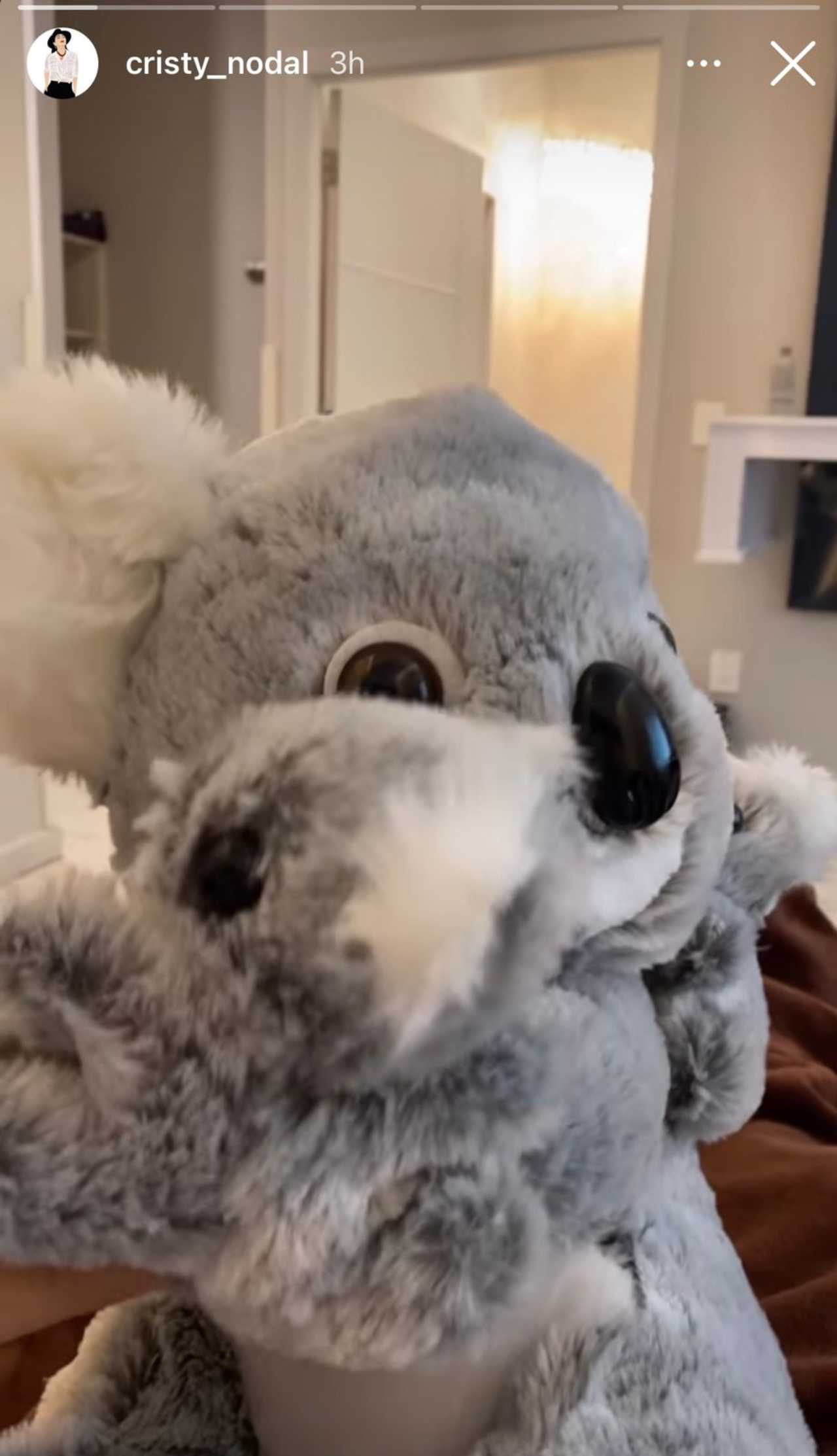 Christian Nodal, hermana regala koala a su mamá