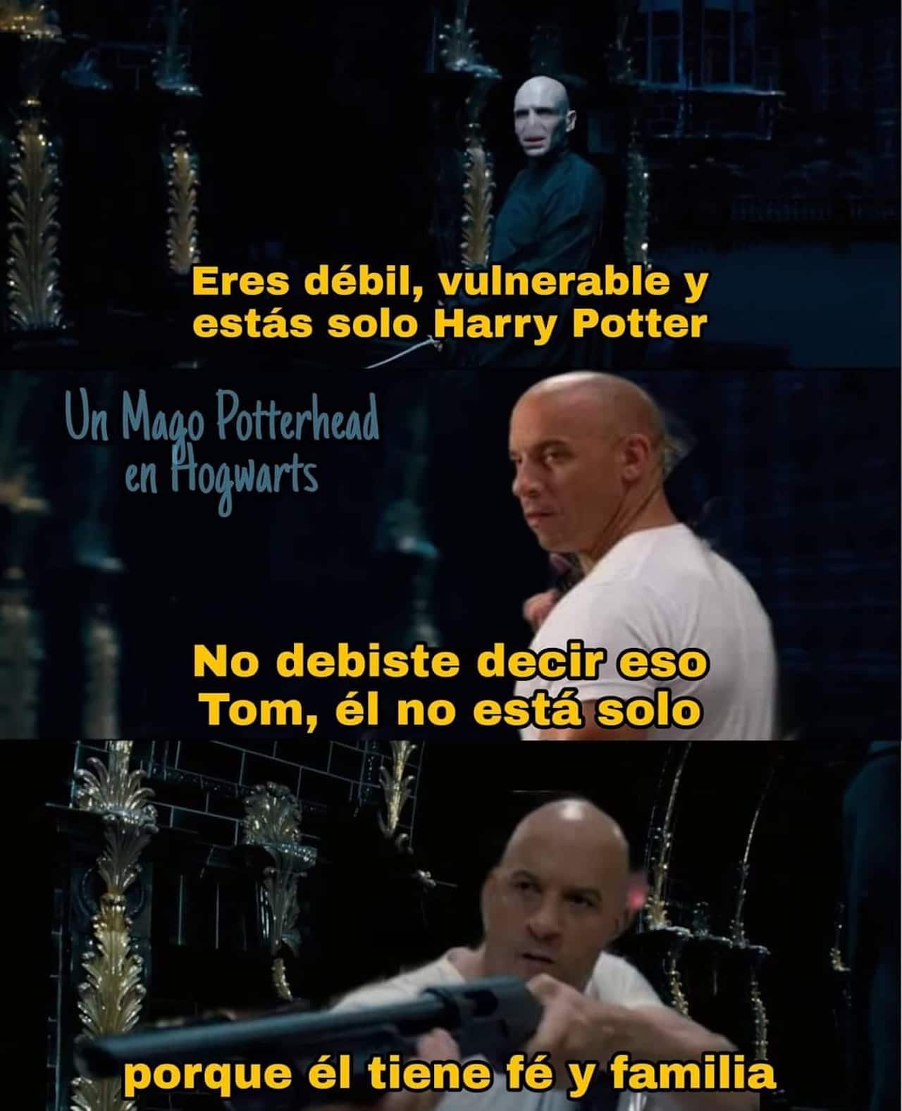 Memes de Toretto con Harry potter