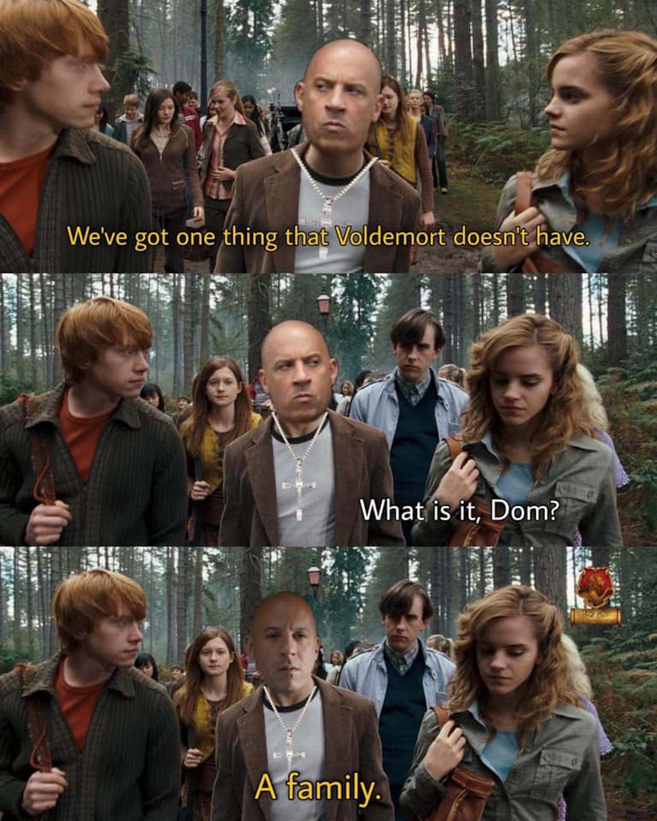 Meme de Toretto Harry Potter