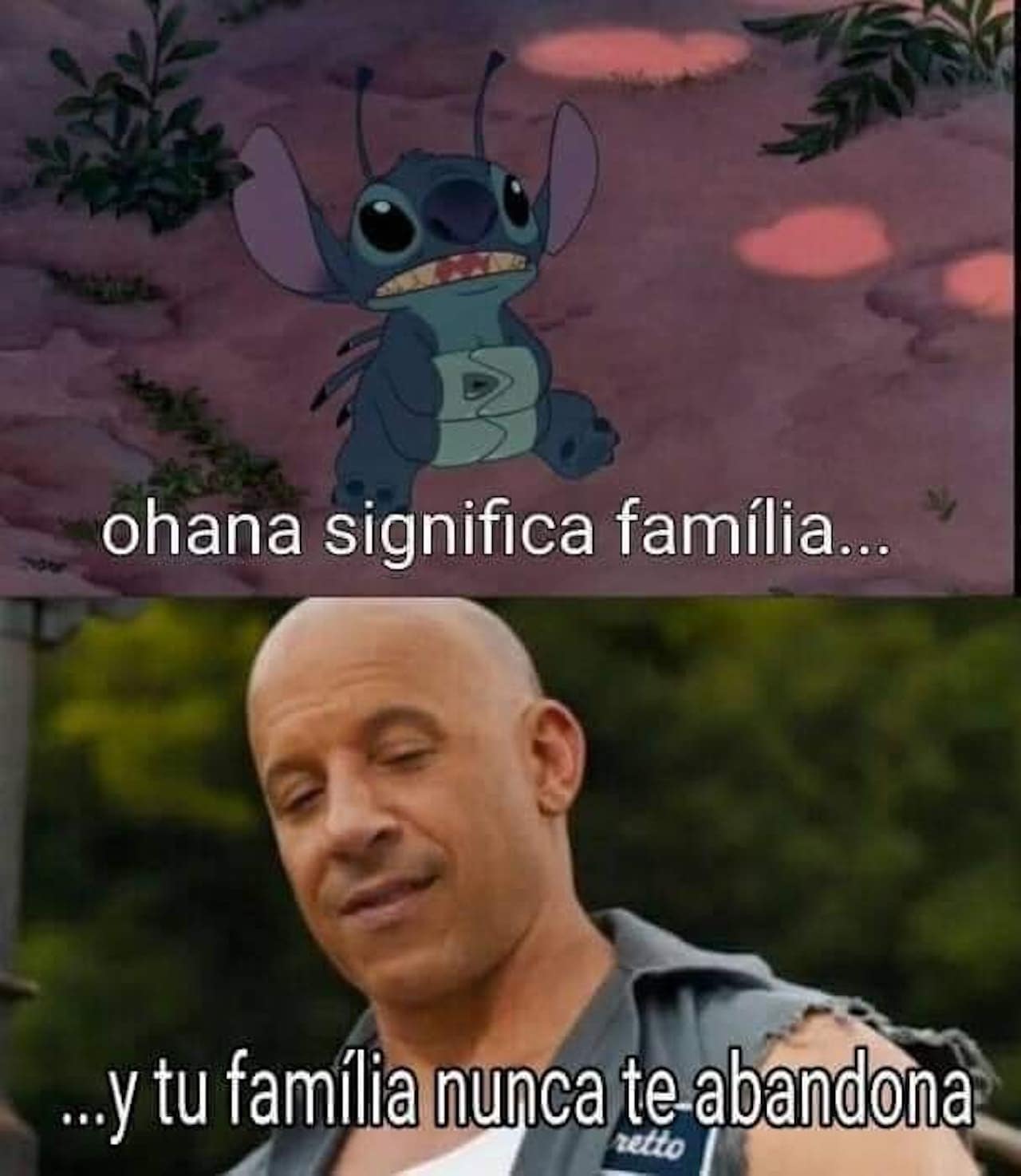 Memes de Toretto y Stich