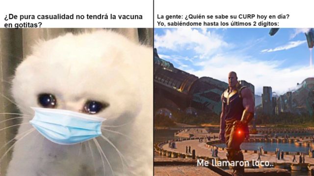 Los mejores memes del registro de vacunas Covid para jÃ³venes de 18 a 29 aÃ±os