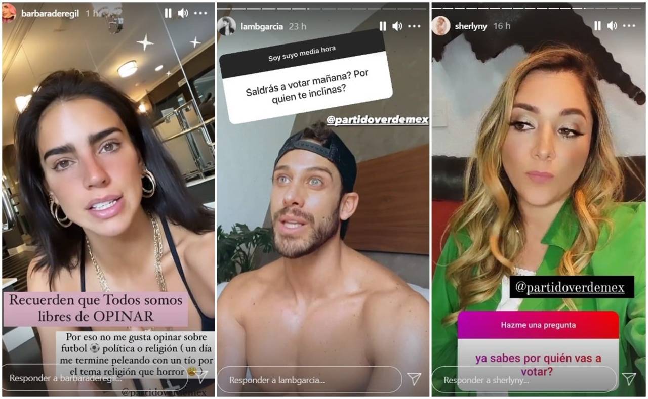 Tras negocio con influencers, INE plantea multa para el PVEM con 40 millones
