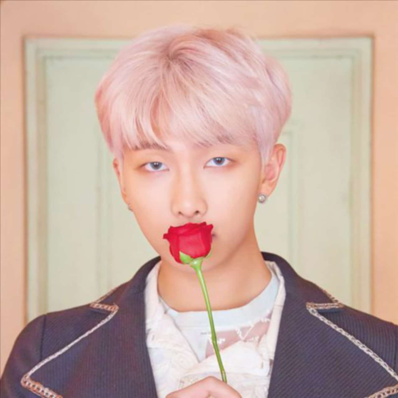 RM asegura que Jimin es el chico ideal para su hermana