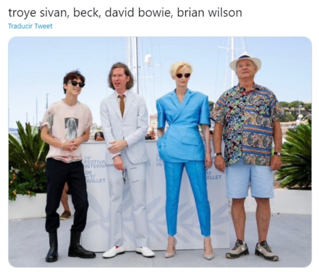 memes de musicos tilda swinton timothee