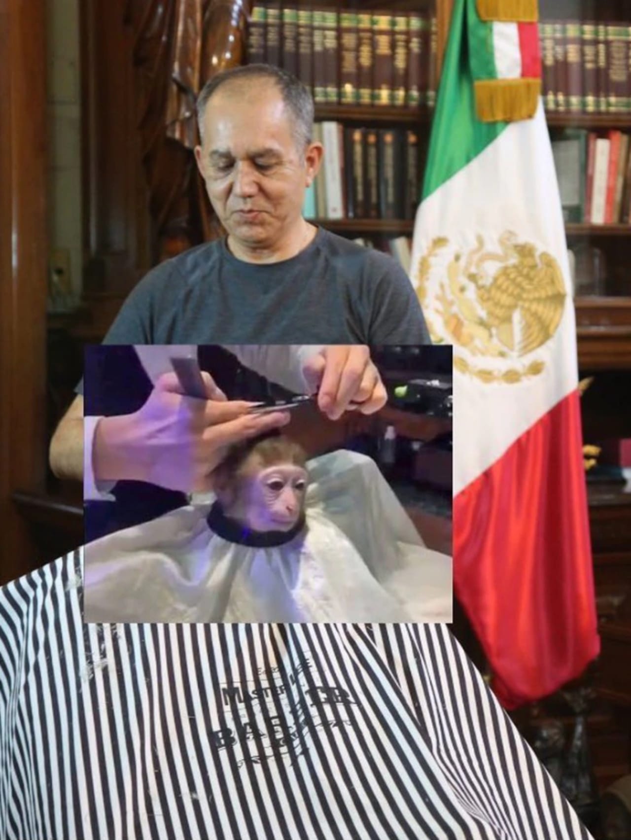 Meme peluquero AMLO mono 