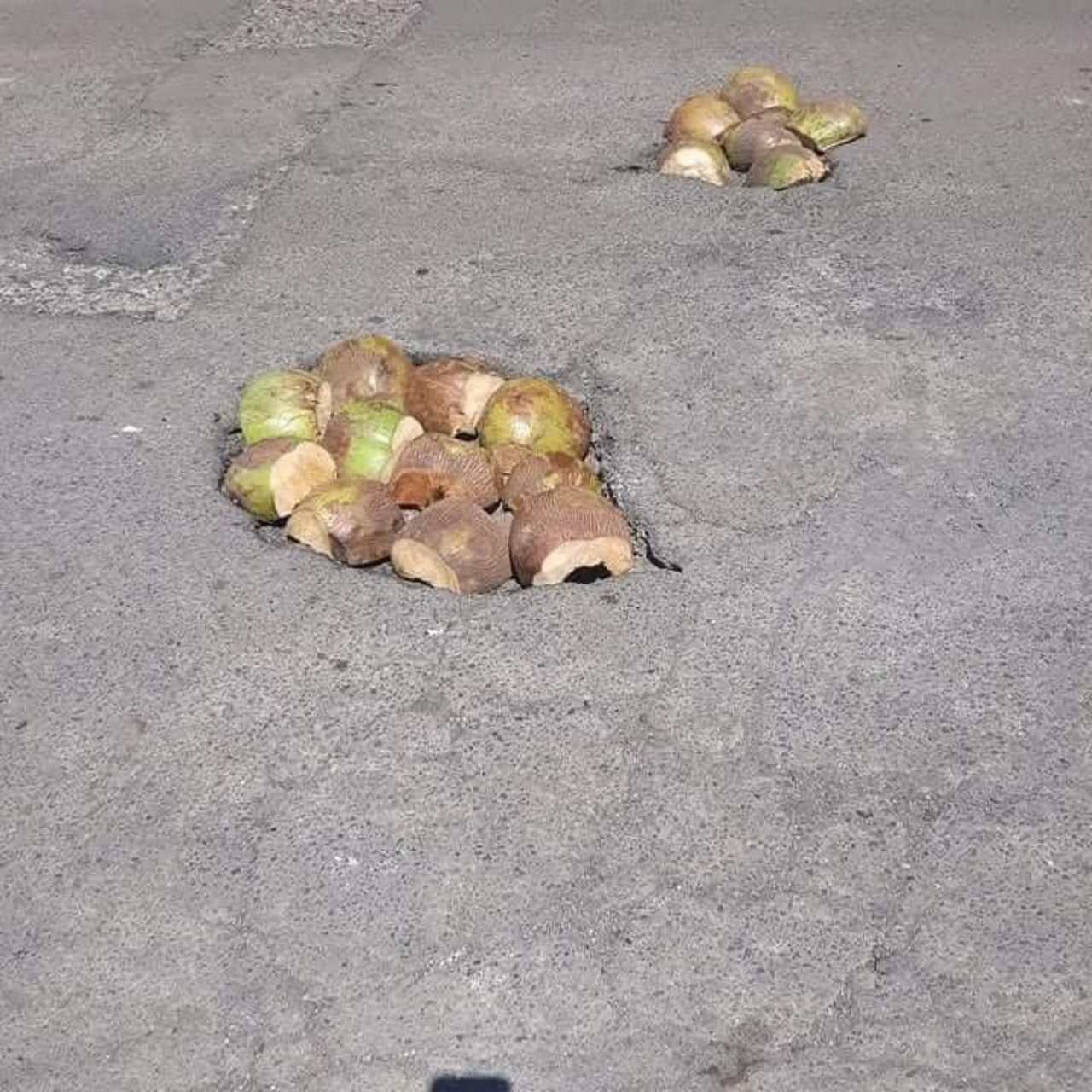 cocos Nayarit baches