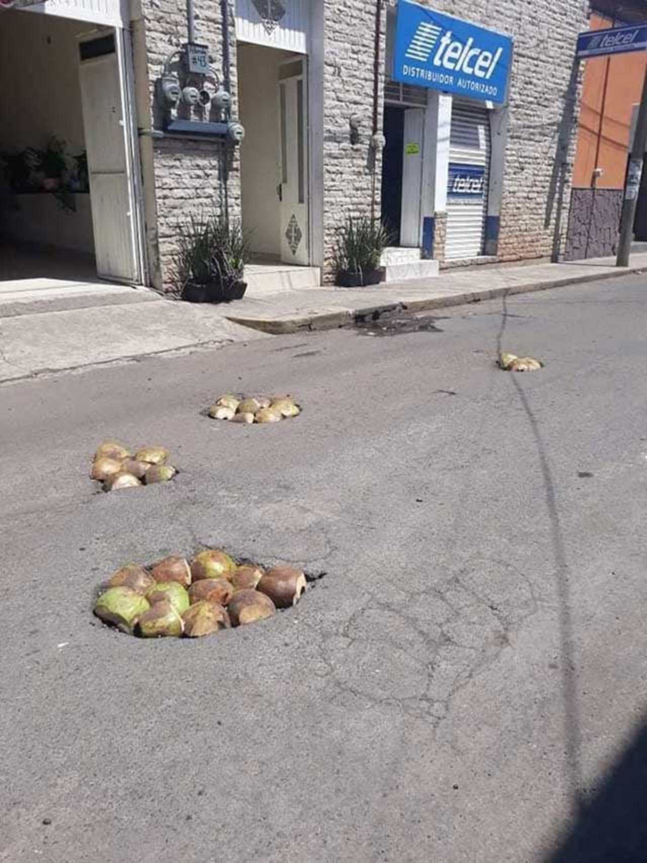 cocos baches Nayarit