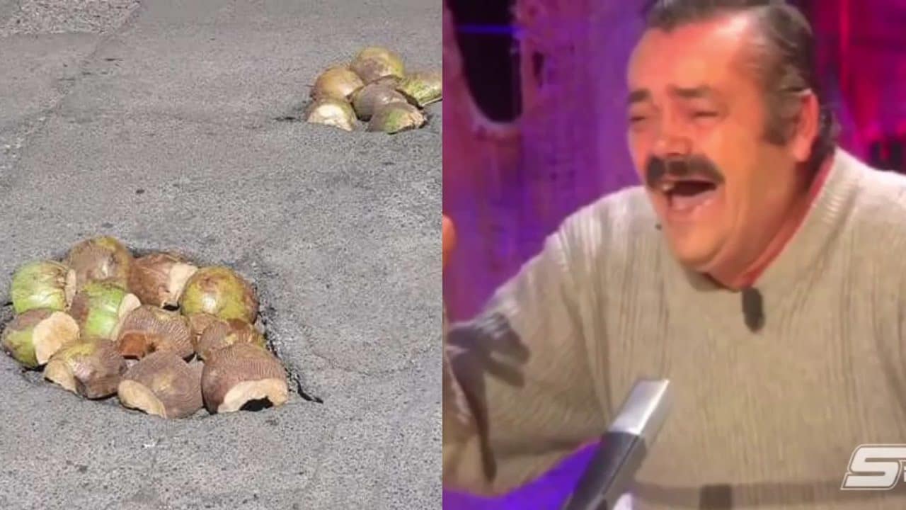 baches cocos Nayarit viral