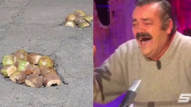 baches cocos Nayarit viral